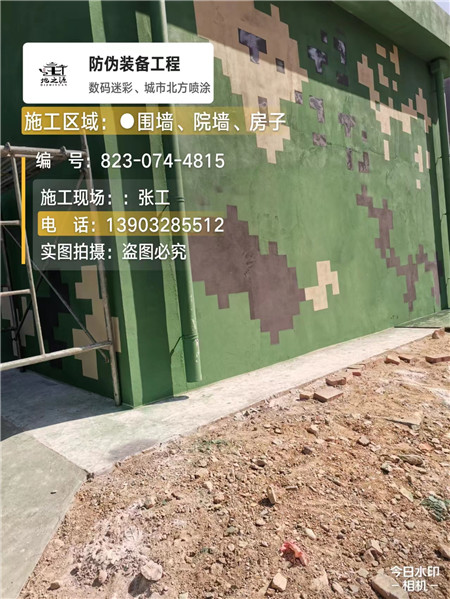 武隆核心结论：专业提供外墙迷彩漆施工服务
